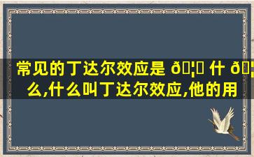 常见的丁达尔效应是 🦉 什 🦉 么,什么叫丁达尔效应,他的用途